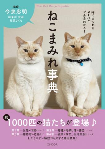 猫にまつわるコトバがぜんぶわかる！　ねこまみれ事典