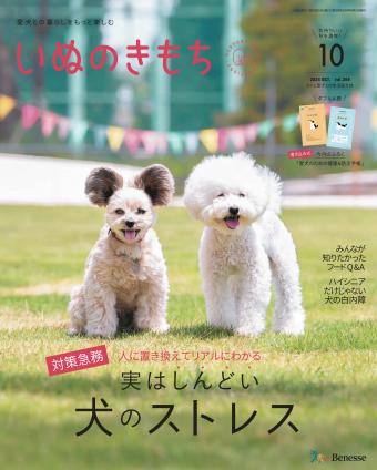 愛犬との暮らしをもっと楽しむ いぬのきもち 2024年10月号｜株式