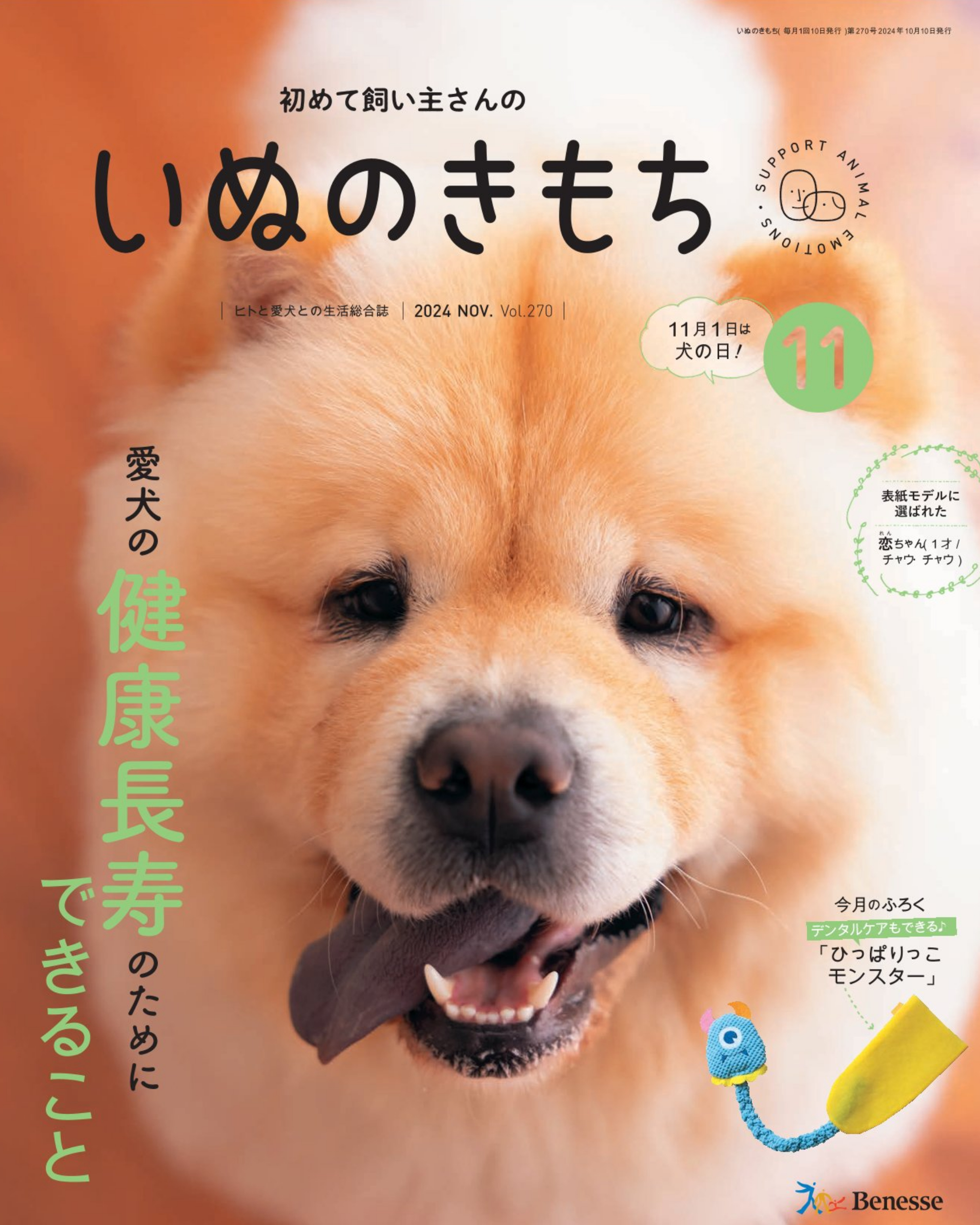 初めて飼い主さんの いぬのきもち 2024年11月号
