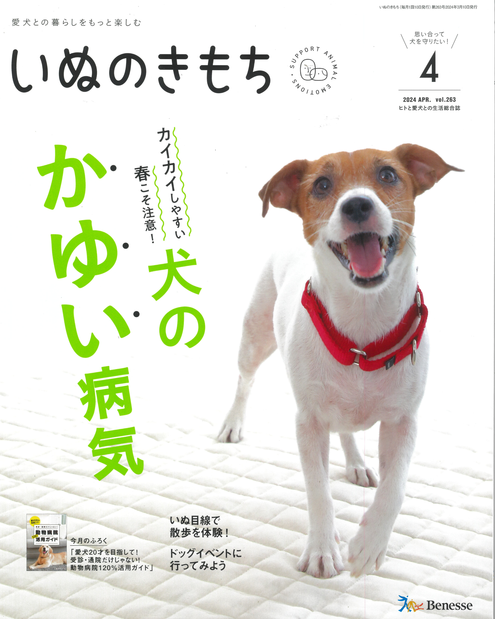 愛犬との暮らしをもっと楽しむ　いぬのきもち　2024年4月号