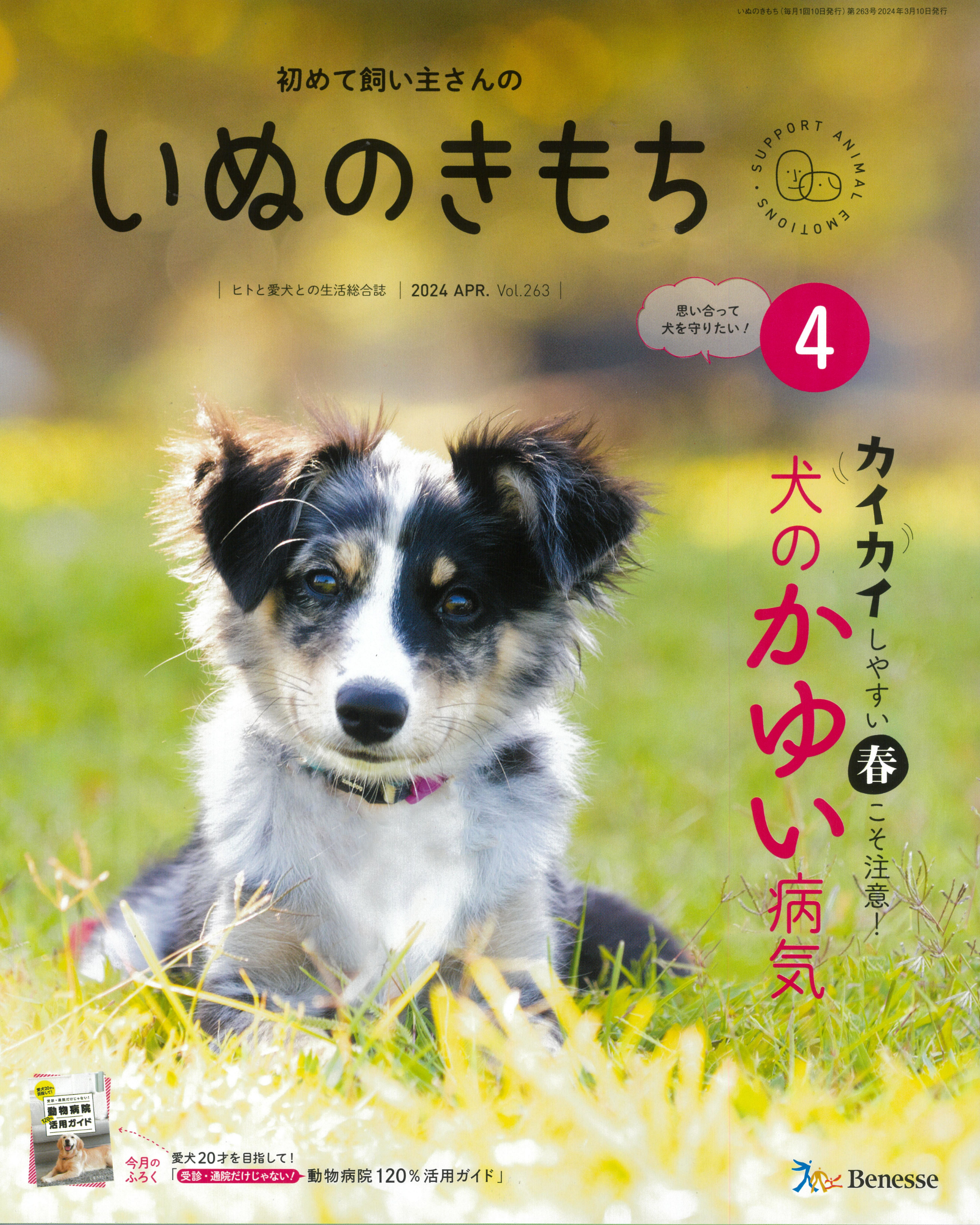 初めて飼い主さんの　いぬのきもち　2024年4月号