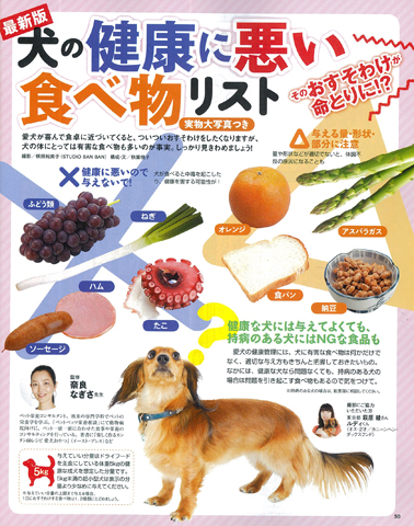 犬 に あげ て は いけない 食べ物