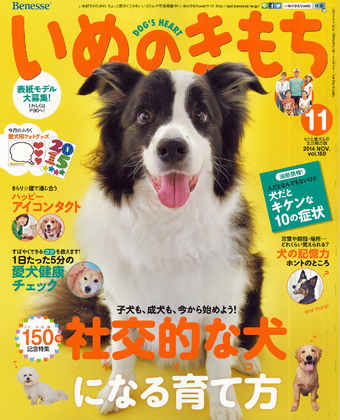 Amazon.co.jp: いぬのきもち : 高倉 はるか: 本