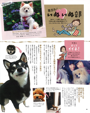 いぬのきもち 2013年9月～2015年12月 いぬのきもち 2015年6月号｜株式会社シーオーツー