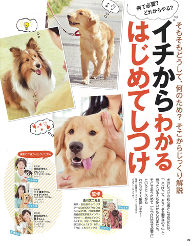 いぬのきもち 2015年6月号｜株式会社シーオーツー