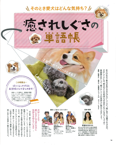 いぬのきもち 2015年8月号｜株式会社シーオーツー