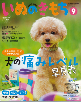 いぬのきもち 2013年9月～2015年12月 いぬのきもち 2013年12月号 Vol.139 / 古本配達本舗 / 古本