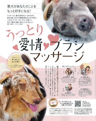 いぬのきもち 2013年9月～2015年12月 51b0UFobFcL._UF350,350_QL50_.jpg