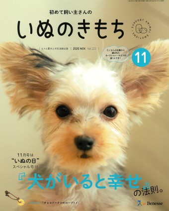 いぬのきもち　2020年11月号