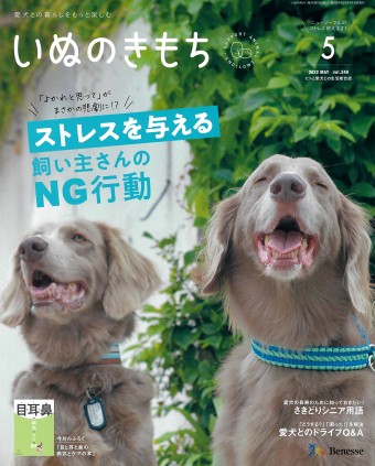 いぬのきもち 2022年5月号｜株式会社シーオーツー