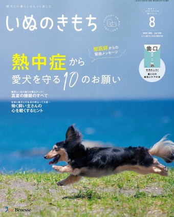 いぬのきもち 2022年8月号