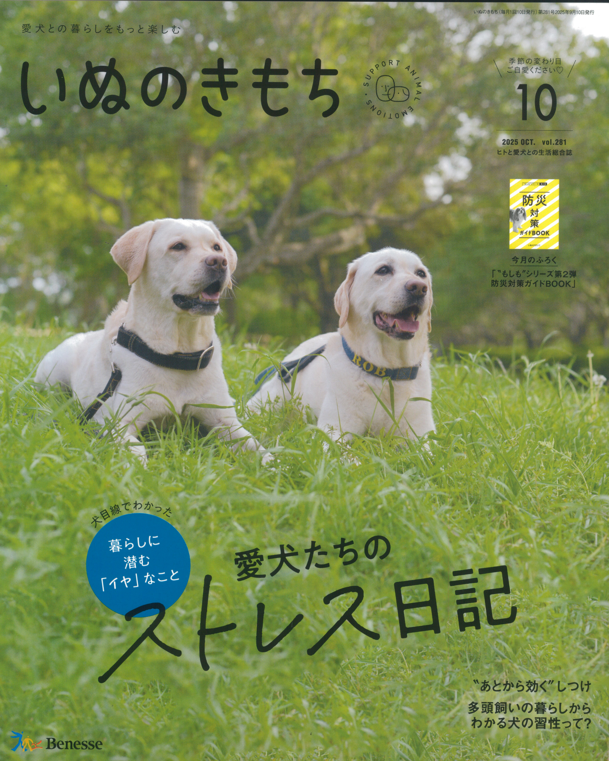 愛犬との暮らしをもっと楽しむ　いぬのきもち　2025年10月号