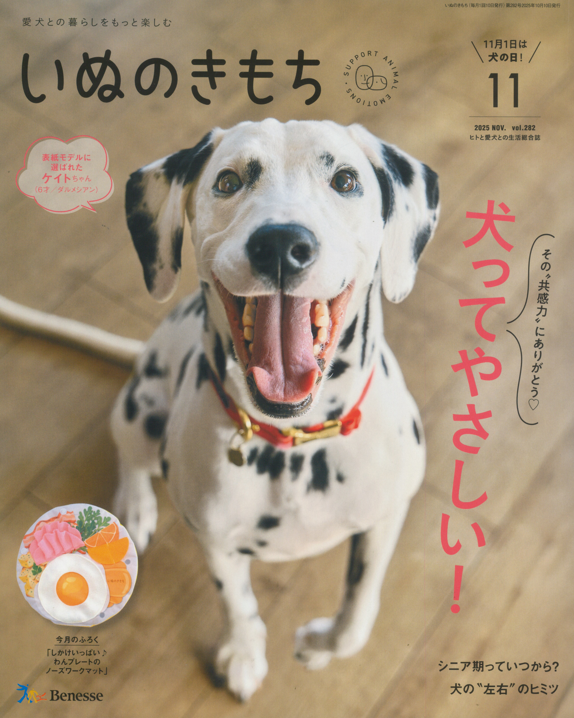愛犬との暮らしをもっと楽しむ　いぬのきもち　2025年11月号