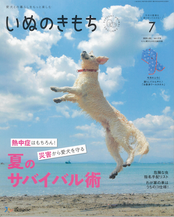 いぬのきもち　2014年6月号vol.145 いぬのきもち 2014年6月号vol.145（2025年最新Yahoo