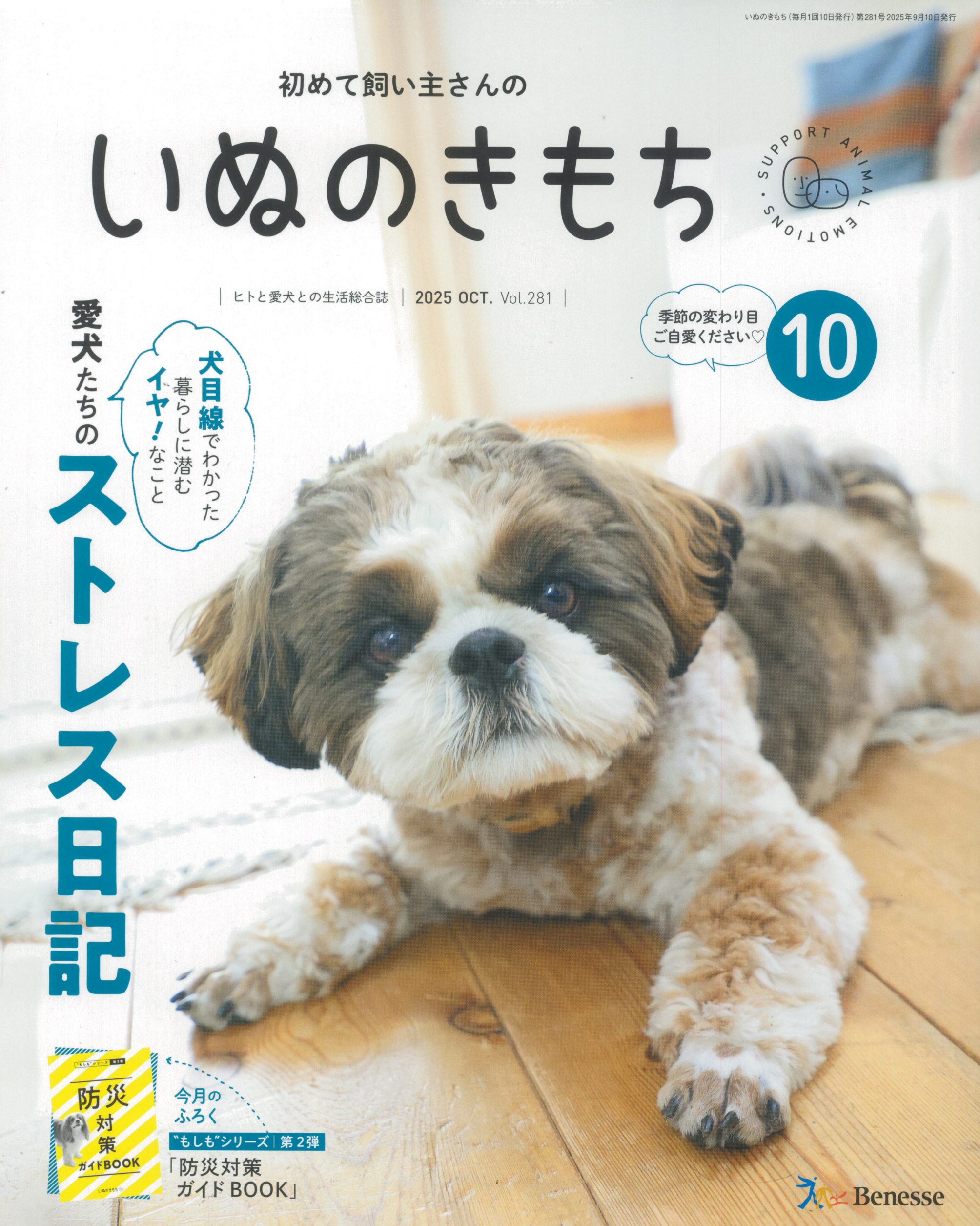 初めて飼い主さんの　いぬのきもち　2025年10月号