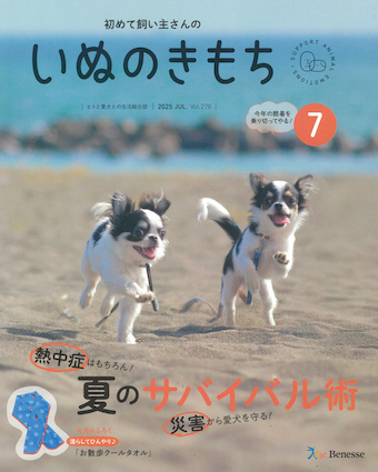 初めて飼い主さんの いぬのきもち 2025年7月号｜株式会社シー