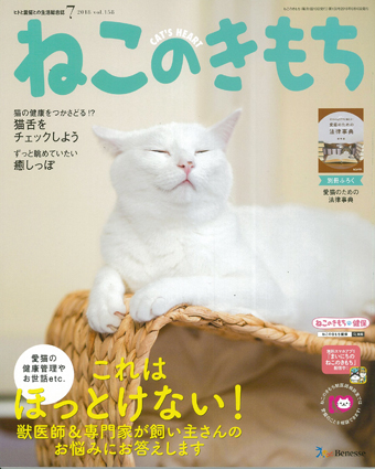 ねこのきもち2018年7月号｜株式会社シーオーツー