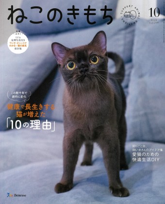 ねこのきもち　2022年10月号