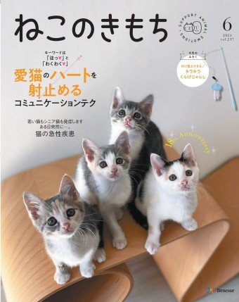 ねこのきもち　2023年6月号