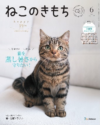 ねこのきもち　2024年6月号