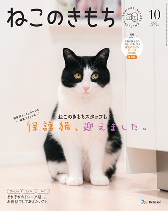 ねこのきもち　2025年10月号