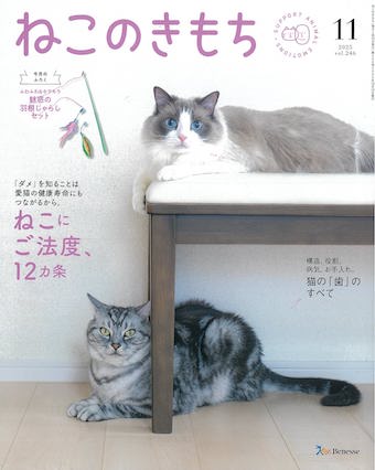 ねこのきもち　2025年11月号